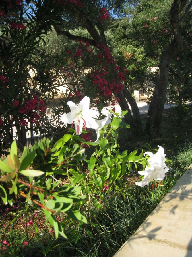 Le Clos Olives Comps  Exterior foto